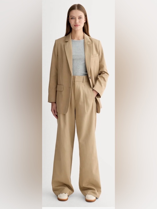 Everlane Pants - Everlane The Draper Pleated Pant in Buttersmooth Ash Brown Women's 12 Regular